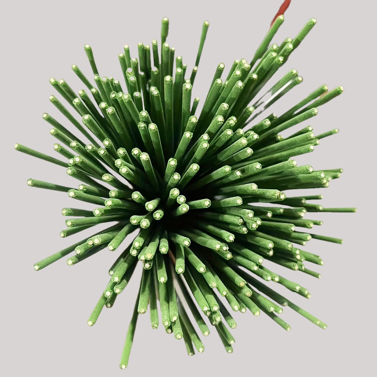 Reed Diffuser Sticks Lemongras - đánh giá và giá Home Fragrance Oud