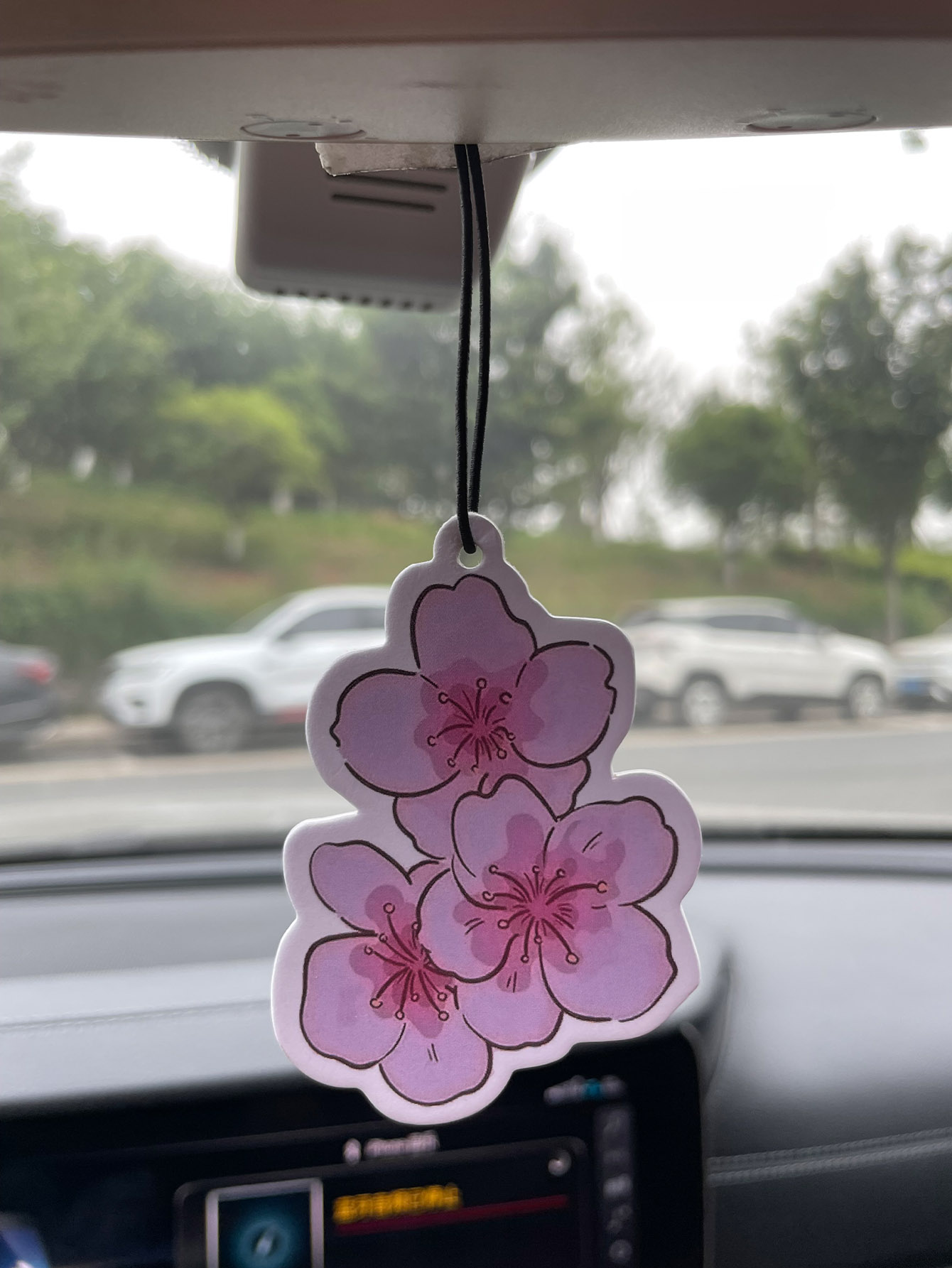 Sakura/Freesia Fresh Scent Fiv - đánh giá và giá Home Fragrance Non Toxic